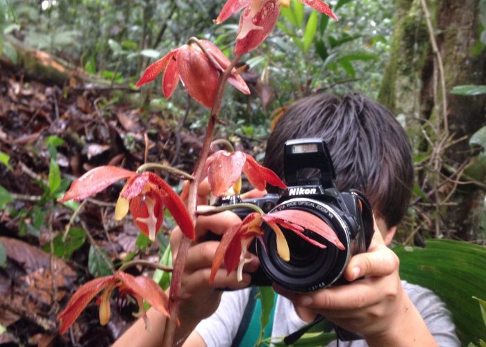 50451899_2388105981412168_1935787261190733824_n