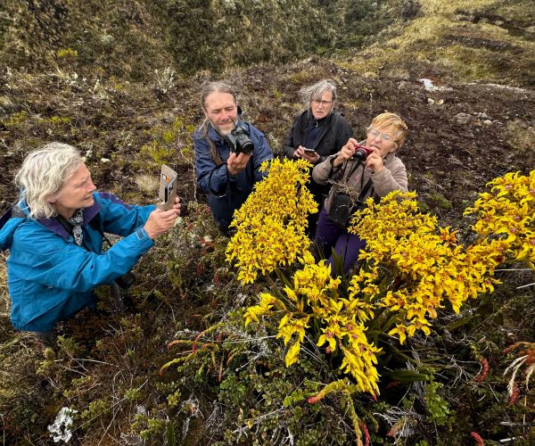 L'orchidiophile le groupe colombie dropbox 19-29